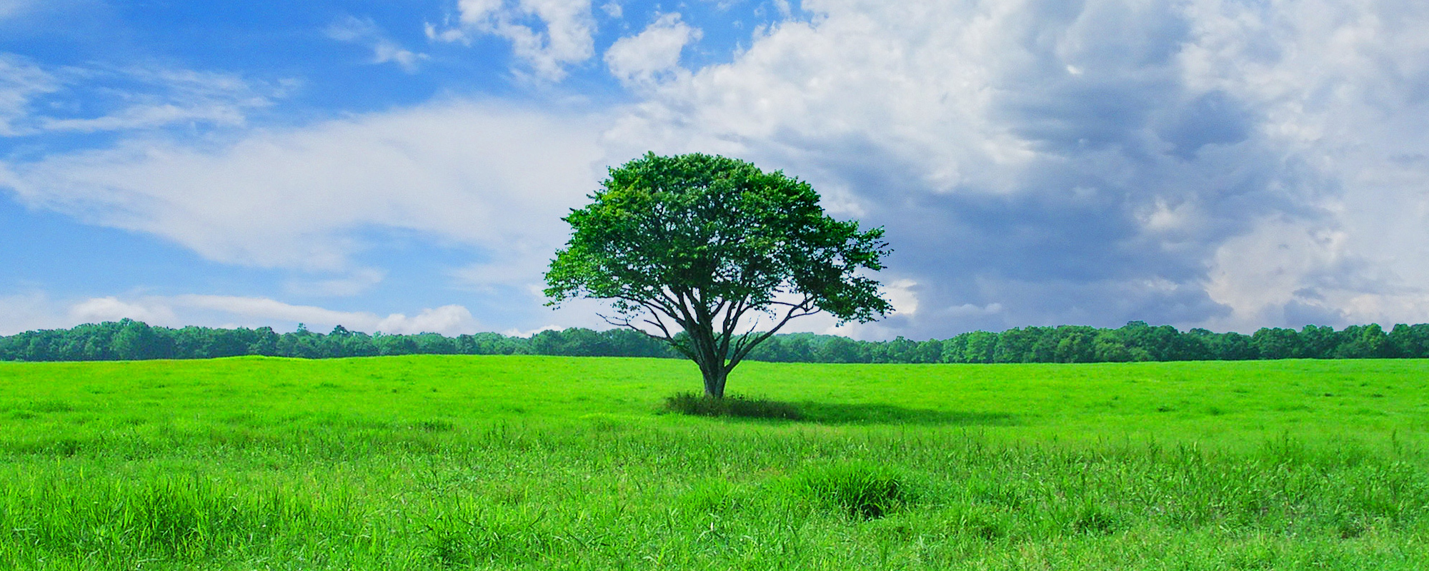 株式会社スワン企画